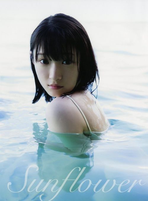 Sun Flower (Regular)