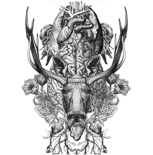 RE:STUPiD (régulière)