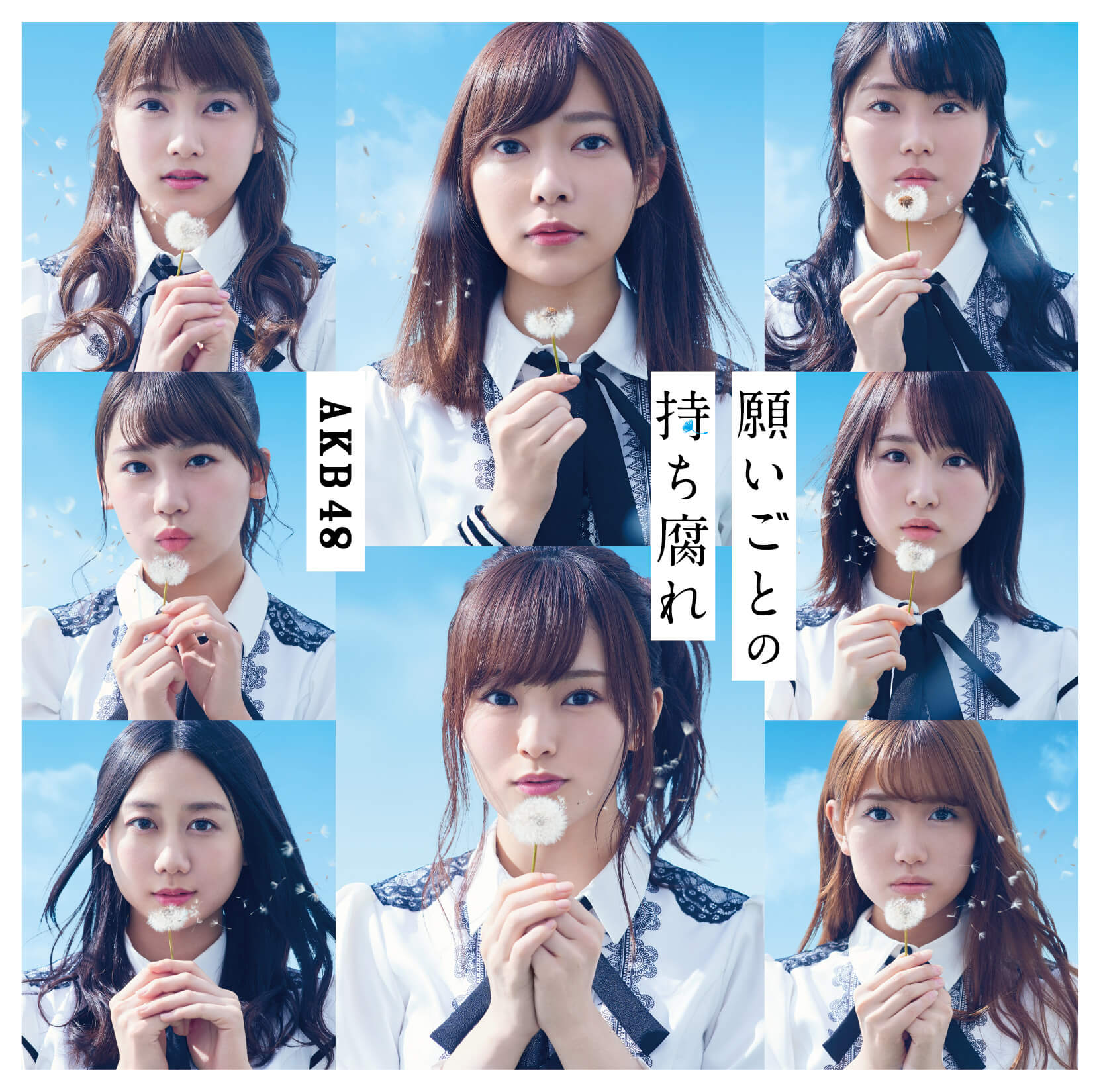 Negaigoto no mochigusare (Type B - limitée)