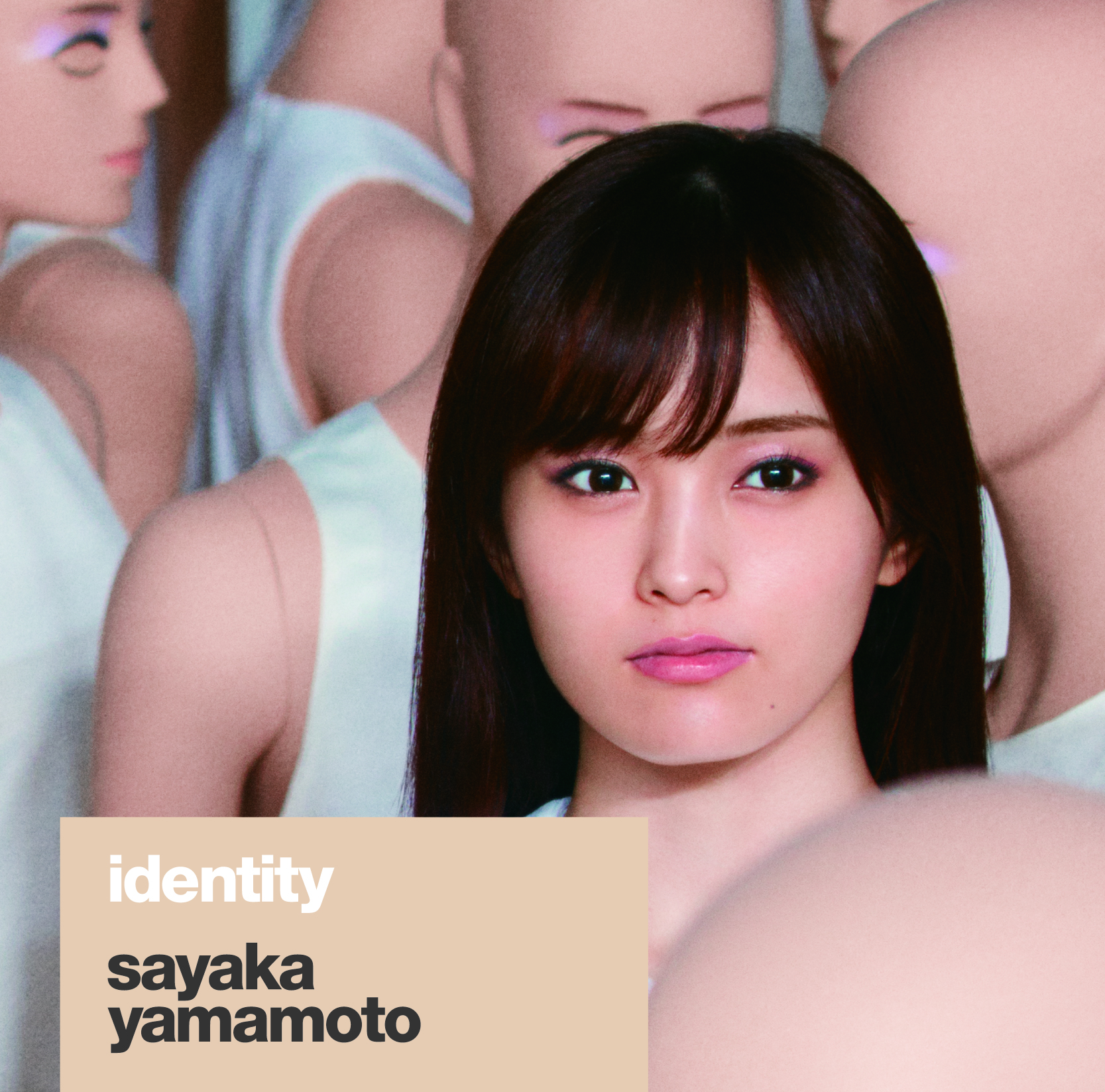 identity (Edition régulière)