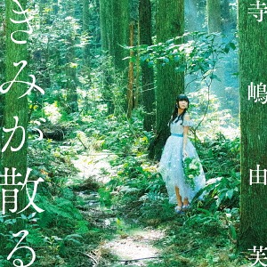 Kimi ga Chiru (Edition régulière)